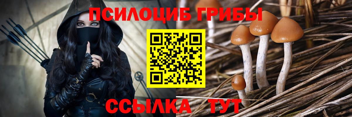 Псилоцибиновые грибы ЛСД Красноярск