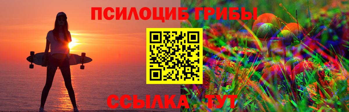 даркнет сайт  Галлюциногенные грибы Cubensis  Красноярск  Вход с VPN  Псилоцибиновые грибы MAGIC MUSHROOMS 